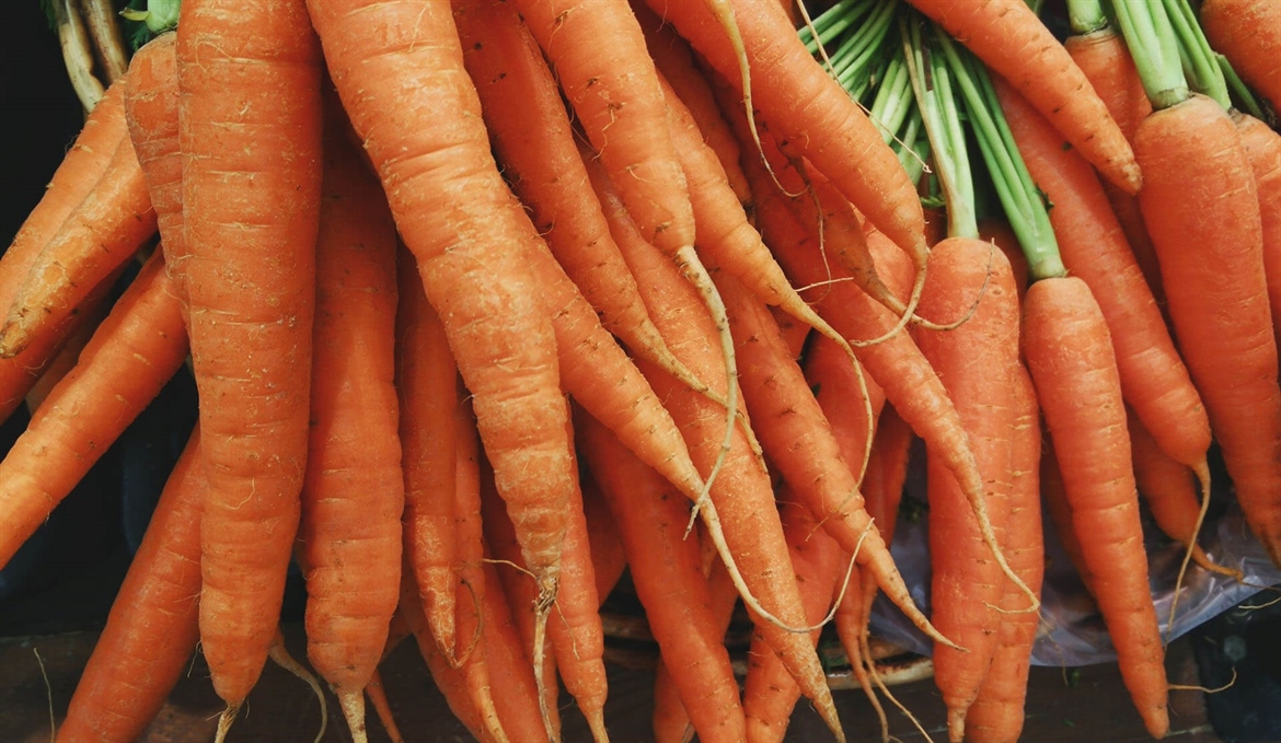 Homemade Carrot Cake Recipe and Tips