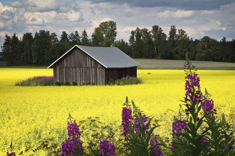  Finland officially the Republic of Finland, is a Nordic country situated in the Fennoscandian region of Northern Europe